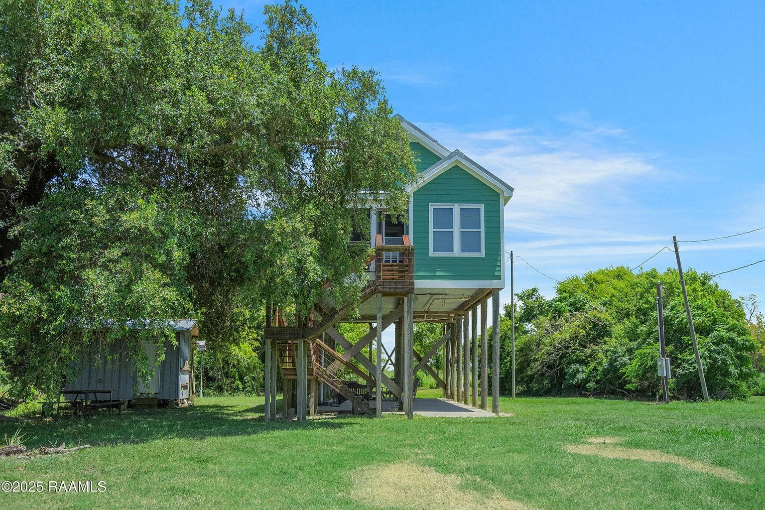 The camp beneath the live oak